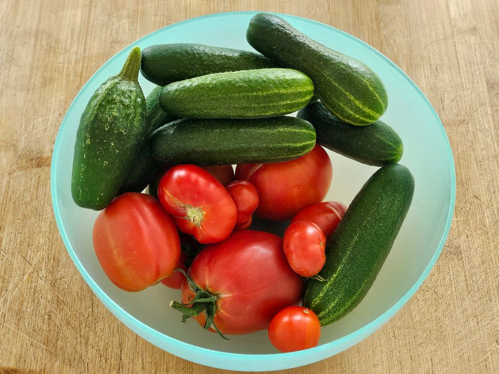 A bowl of cucumbers and tomatoes