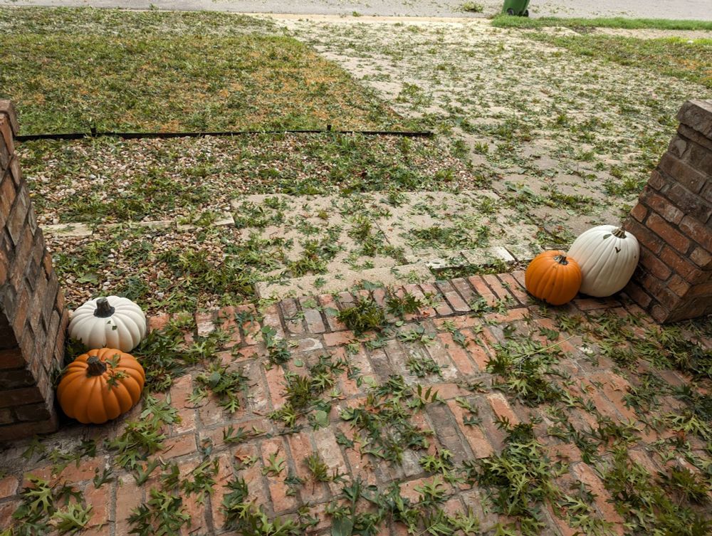 Front yard covered in leaves and branches, fake pumpkins still standing