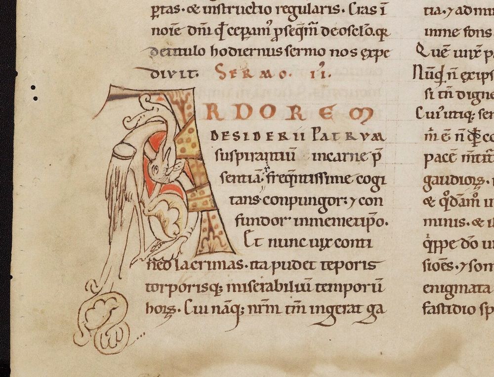 Bodleian Library MS. Laud Misc. 246, 2v, detail showing initial A with curvy bird-creature.