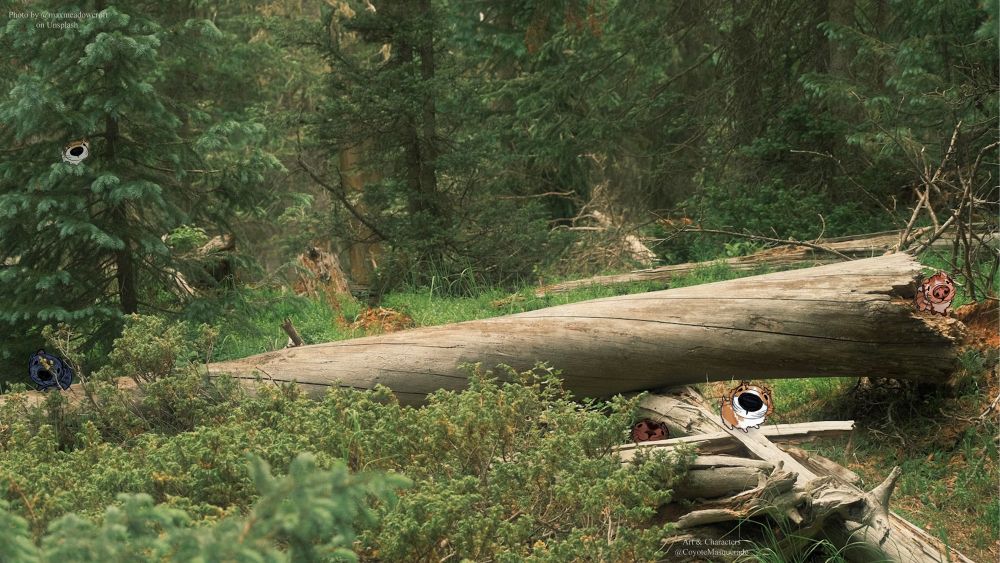 Same drawings of my ocs in a simplified silly style as described in main post. But now they are placed on a different photo background. They are scattered through out the image, hidden in different places. This photo background shows a thick forest with lots of pine like trees and bushes as well as some thick and thin grass patches. There is several fallen trees and piles of broken sticks. 

Stevie sits atop a branch of a pine like tree in the top left. Melvin is a bit below her, standing on the largest fallen log that cuts directly across the image. Philky sits at the other end of this same log, but on the far right. 
Collin stands atop a pile of broken logs at the bottom right. To his left, tucked behind a log and some bushes, Sammie peeks her head out. 