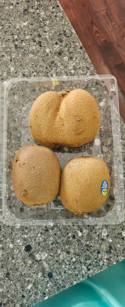 A photo of a container with three kiwis in it. One of the kiwis is large and looks like two kiwis fused together.