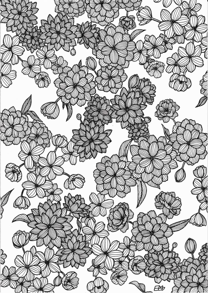 illustrative  black ink drawing of abstract flowers