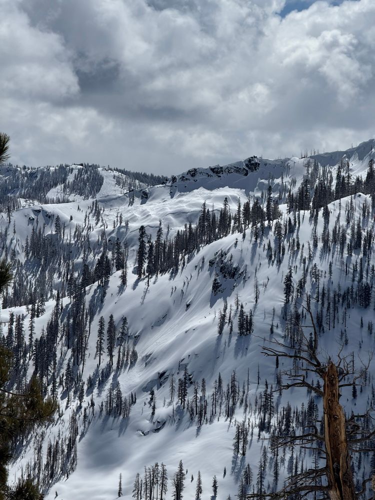 Looking back at avalanches on Talking Mt from Flagpole Peak. 