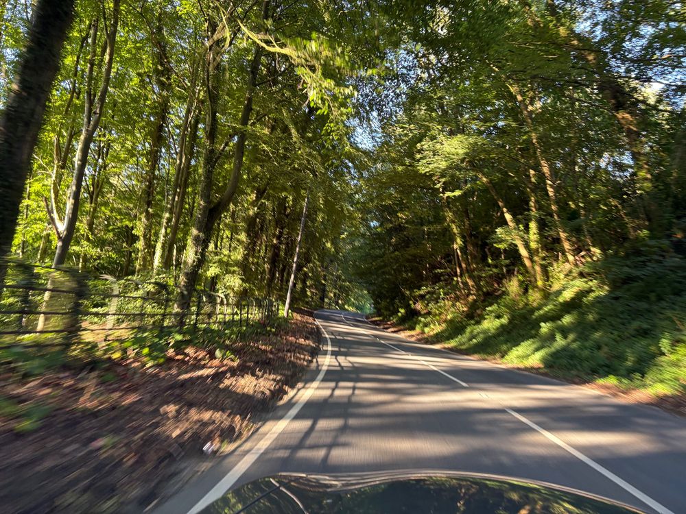 Moving action photo from passenger seat of a convertible heading up a road through trees following a slight left, right bend in the road. Sunlight breaking through from the left onto the road with shadows.