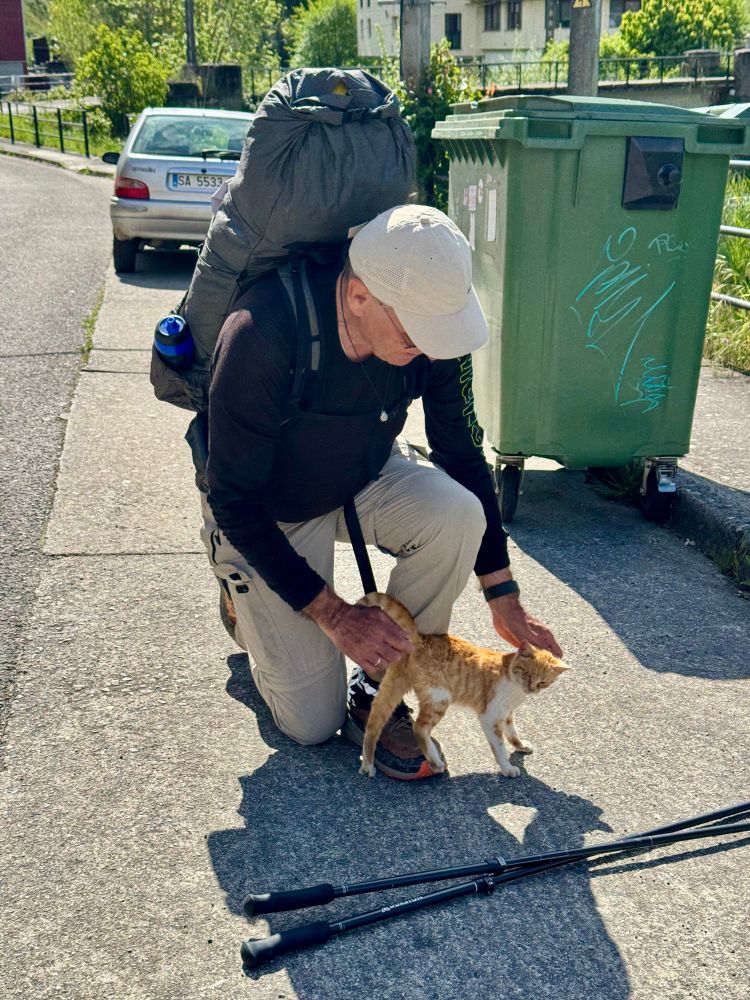 A poor, little cat which loved attention. Some other people tried to feed it, but with no success 