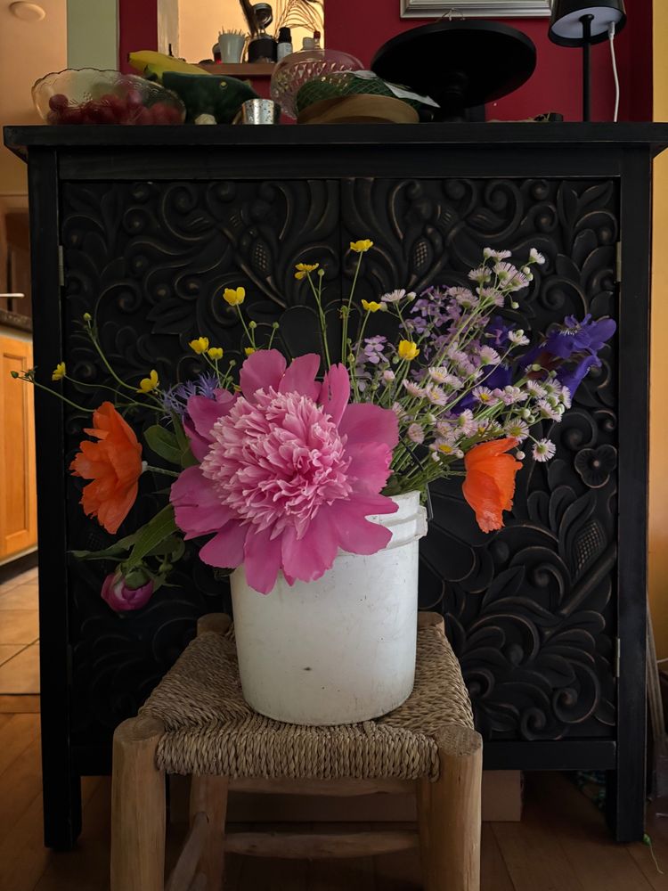 I picked this bucket of garden and wildflowers before some predicted hard rain. A small white bucket with a big pink peony, some large orange poppies, pink flea-bane, yellow buttercups, deep purple irises, deep blue bachelor’s buttons, and pink lilacs, against a black cabinet.