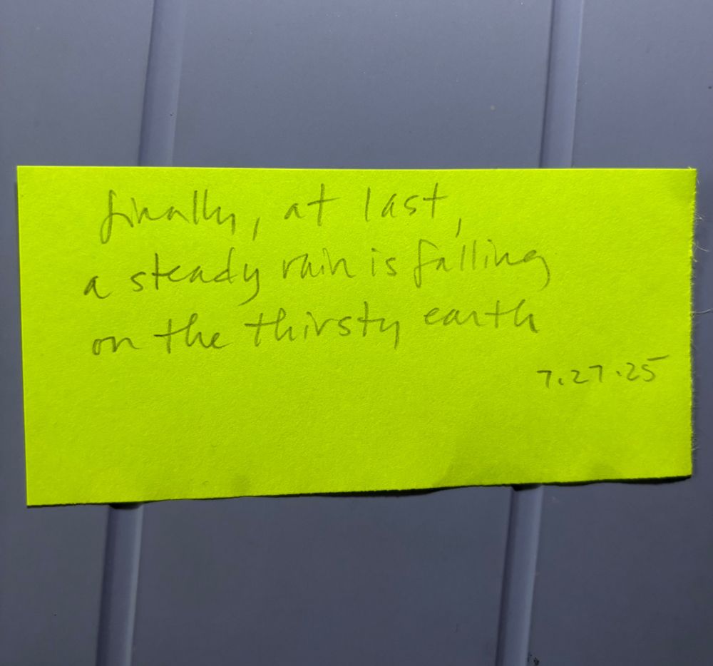 A poem I wrote this morning:
Finally, at last,
A steady rain is falling
On the thirsty earth
7.27.25