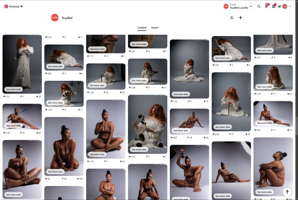 Screenshot of the TrueRef official Pinterest account.