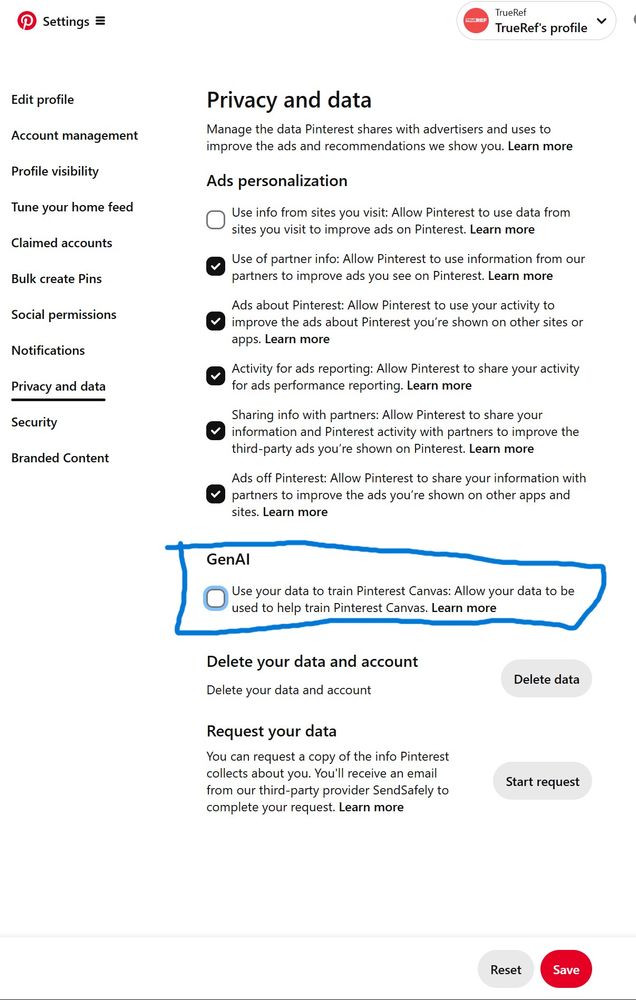 how to turn of permissions to give Pinterest the right to train on your posts. 