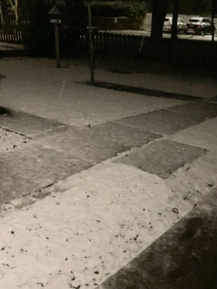 A garden covered with some light snow 