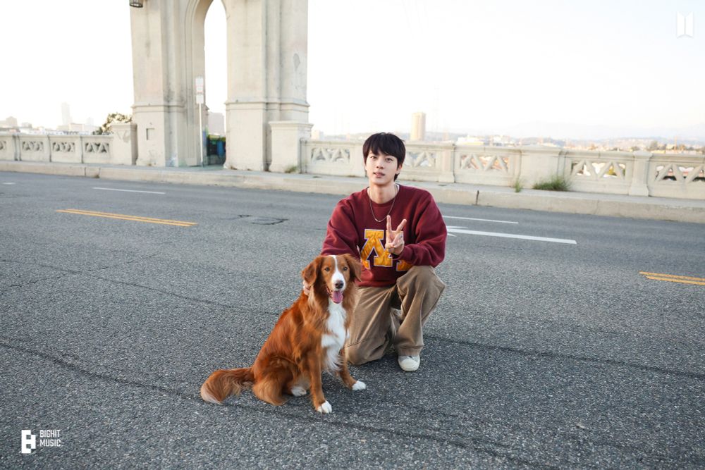 Seokjin and Tango in the middle of the street