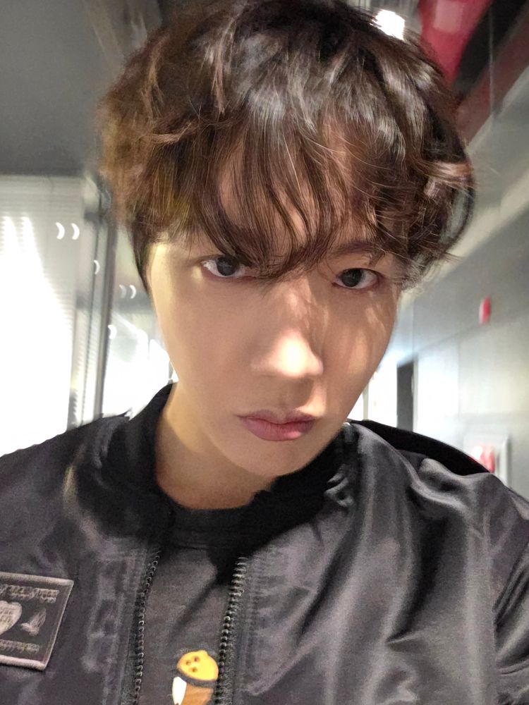 Hobi in dark clothing with floofy light brown hair