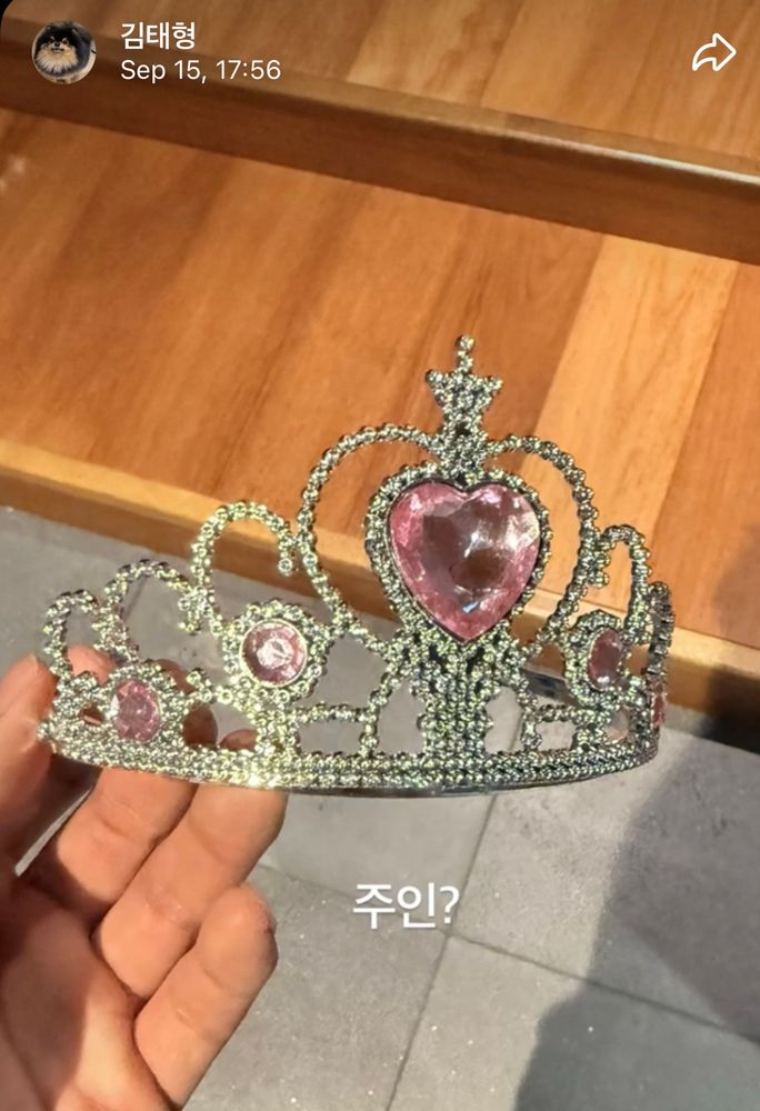 Taehyung holding a tiara. The enabler!!