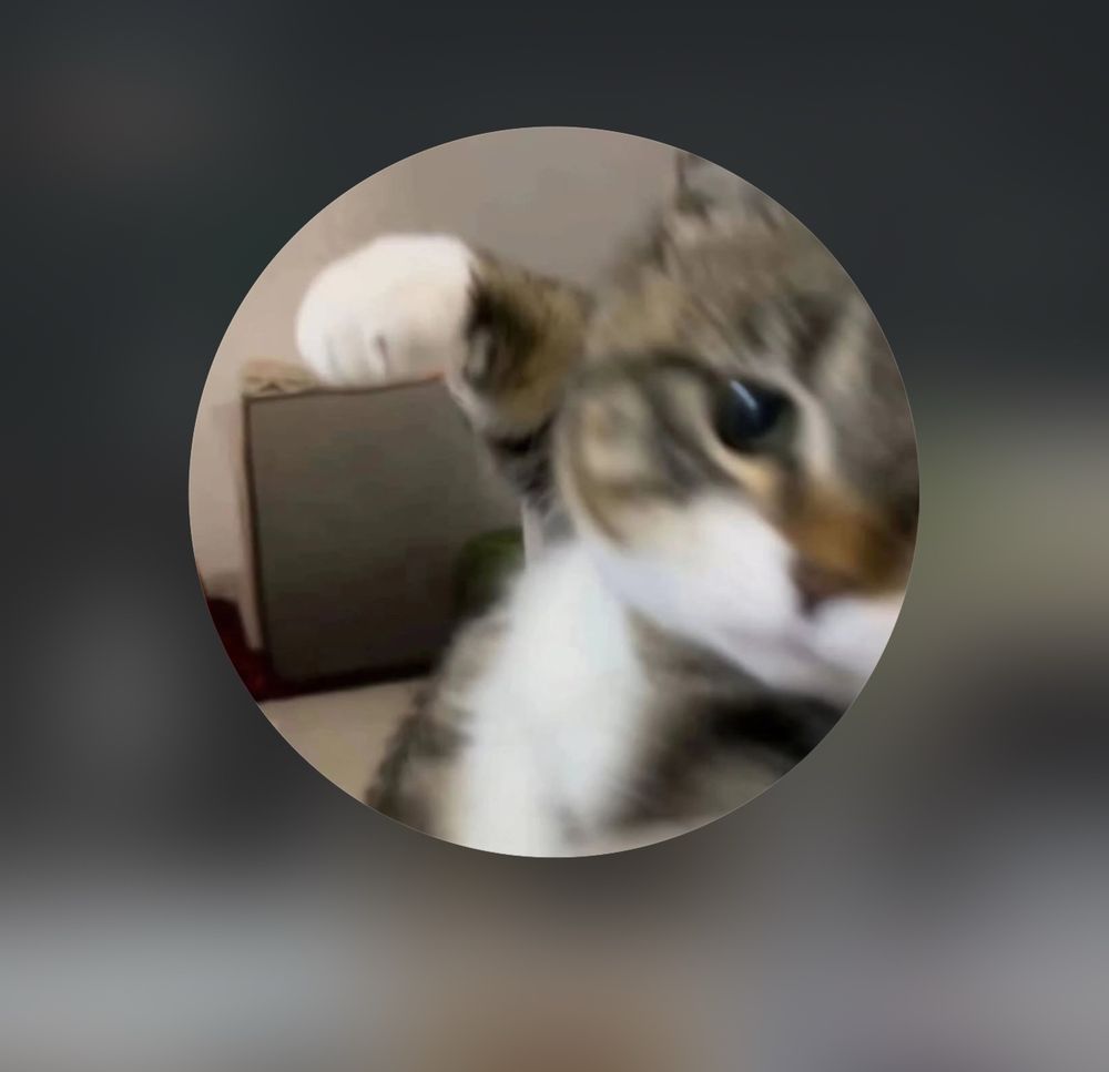 A cat threatening to punch
