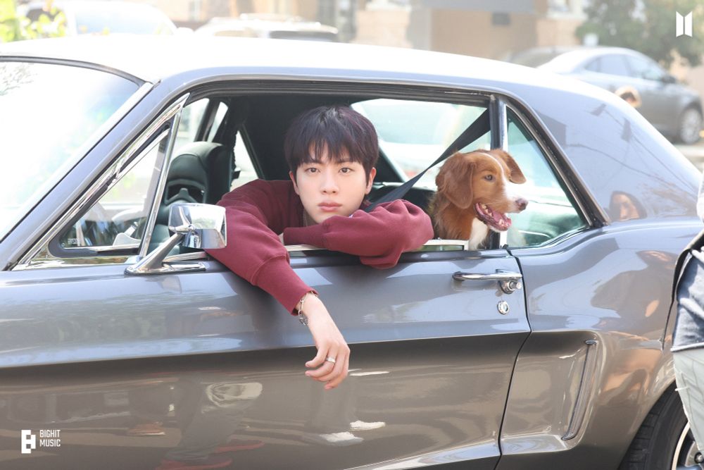 Seokjin and Tango in the car