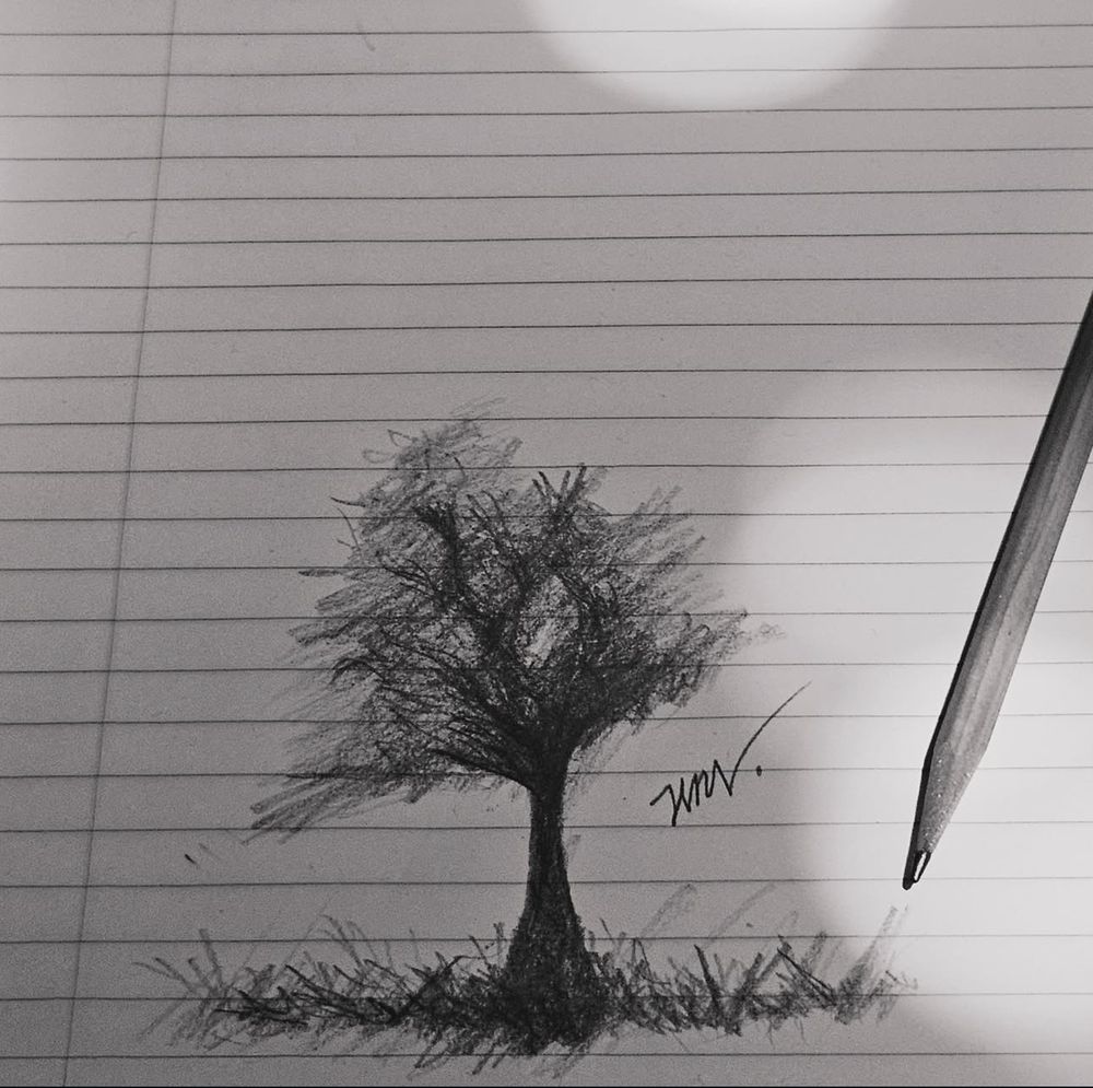 A pencil drawing of a tree on a notebook