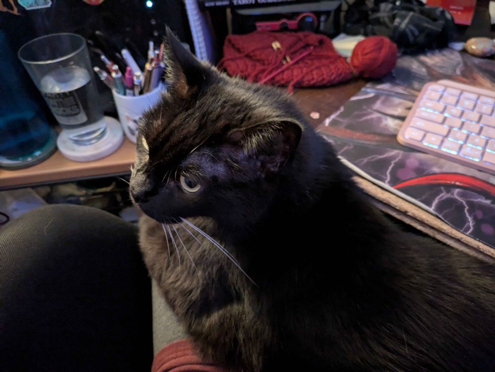 Void kitty sits on a lap at a desk. Background includes: water glass, cup of pens, partially crocheted hat, computer keyboard.