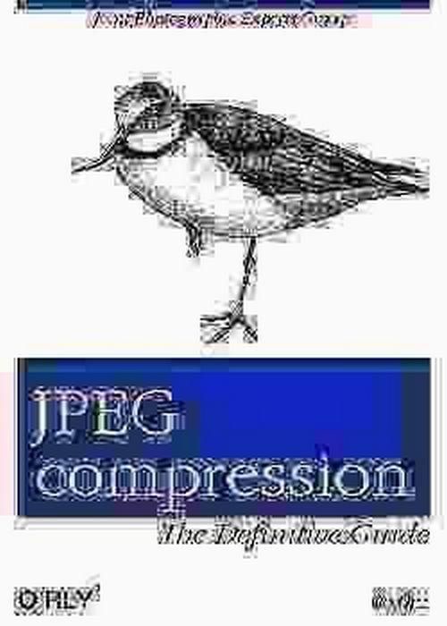 "JPEG compression: the Definitive Guide", fuzzily JPEG-compressed.