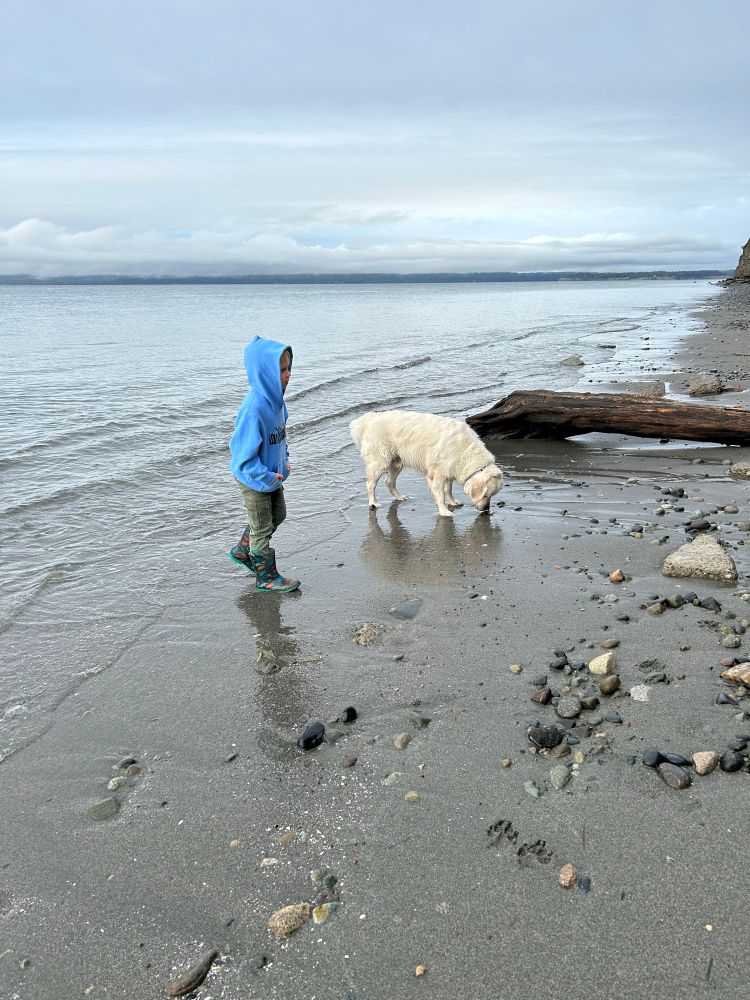 Boy and dog on Pacific Northwest beach. 