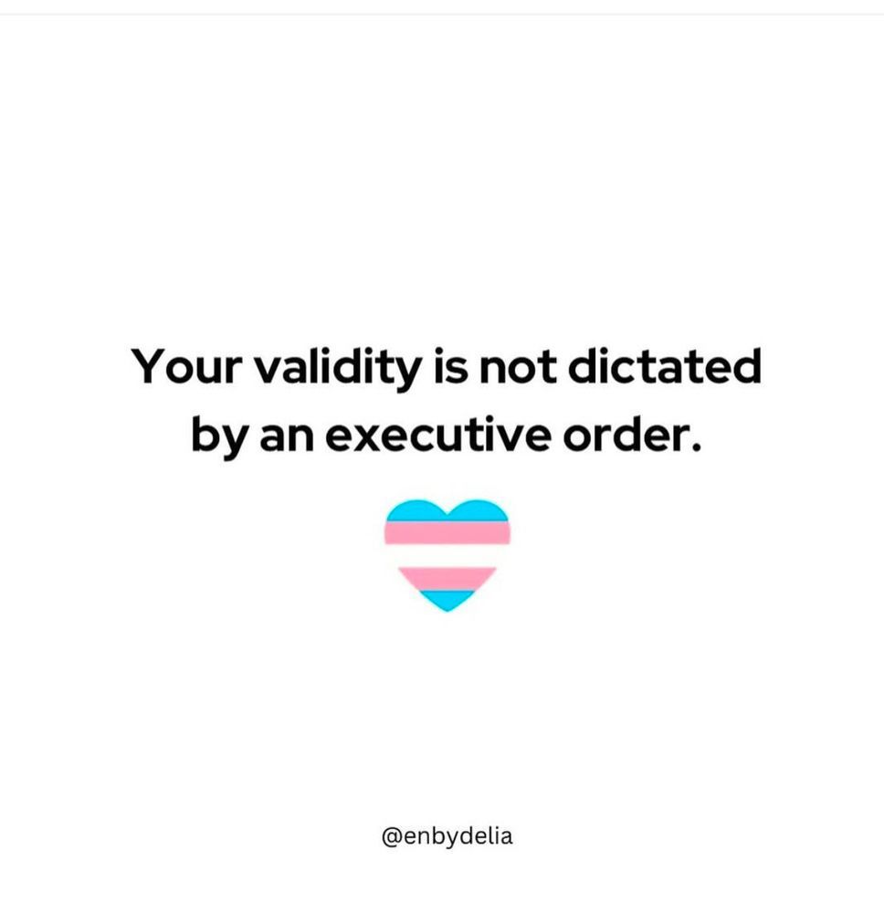 White image with black text sayying Your validity is not dictated by an executive order. 
Then an image of a heart with trans pride stripes. Credit at bottom @envydelia. 