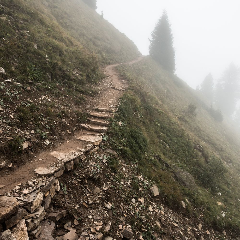 A steep hill with a crumbing flat stone foot path that winds along its edge and towards a lone evergreen and into the fog.