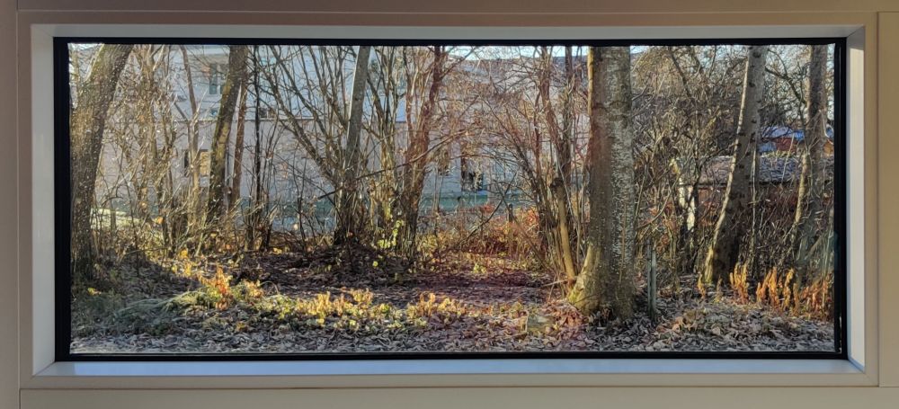 Fensterrahmen wie Bilderrahmen, man blickt auf Bäume und Sträucher ohne Laub, reifbedeckt, die Sonne scheint 