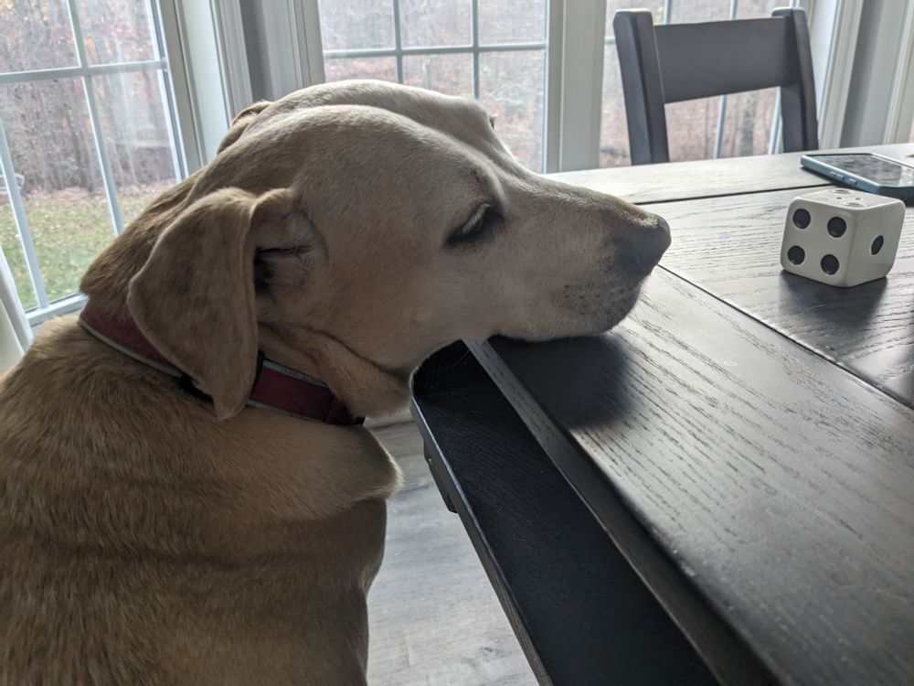 A dog sits at a table with his chin on the table. There's a phone and a die salt shaker on the table
