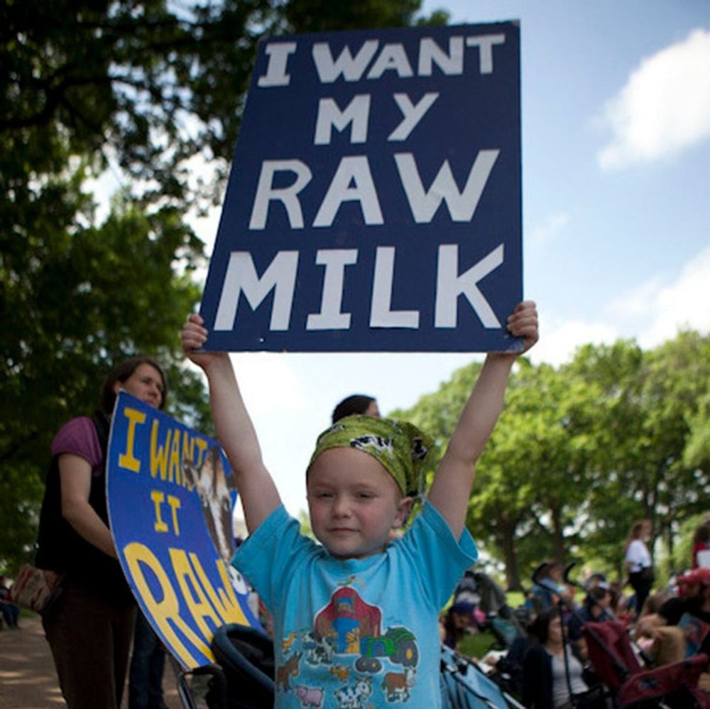 Raw Milk and the Collapse of Consensus Reality