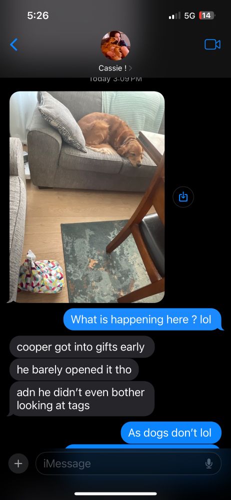 A screen shot of a text conversation between my daughter and I . This is a photo of a golden retriever , sheepishly sleeping on a grey sofa , with a partially ripped wrapped present in the foreground . Which he opened . 