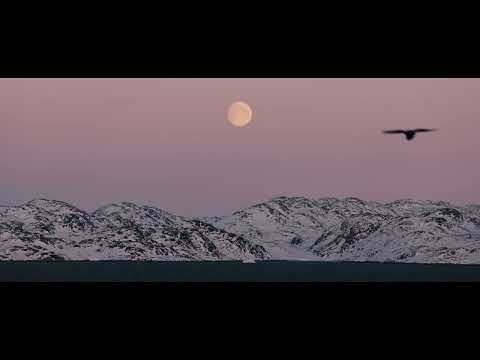From Greenland with Love.