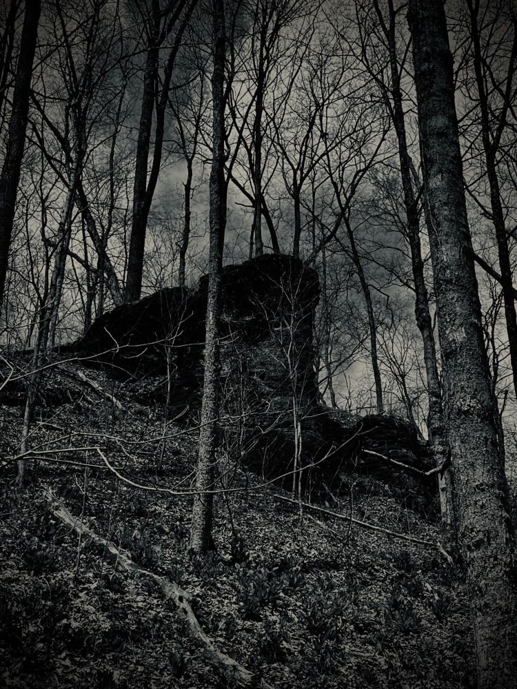 A photo of a cliff in the woods, processed to look much murkier and dark, better emphasizing the bare trees and the cave in the rocky cliff face. Processing here is basic adjustments such as saturation, color channels, color overlays, etc. 
