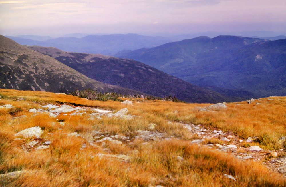 Beneath a soft blue partly cloudy sky, we are standing on a high ridge crest covered with a golden brown alpine plant that resembles grass and scattered boulders of light gray granite. The very top of a stunted spruce and fir forest is visible ahead. Two massive shoulders of lofty alpine mountains are ahead to our left. beyond that rugged wooded mountain ranges cascade to the horizon.