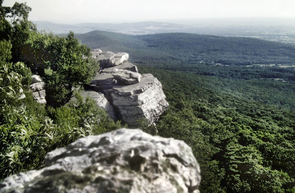A soft blue hazy summertime sky. We are standing atop a jagged, irregularly-shaped very light gray rock outcrop atop a mountain. A thicket of leafy green shrub are growing out of the rock. We see a series of green, forested ridges sloping down from the crest of the mountain to our left towards the unseen valley floor to our right. On the far horizon is a misty farming valley with another ridge rising behind it.