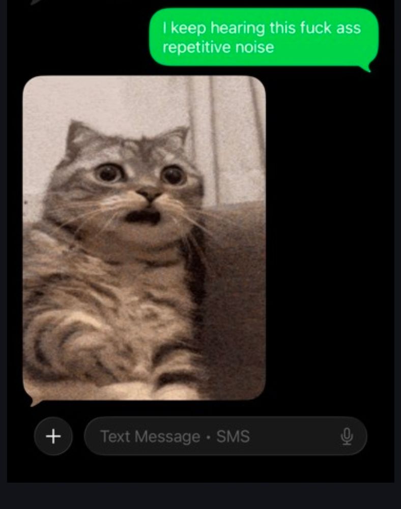 Kid1 says "I keep hearing this fuck ass repetitive noise". BeardedMan replies with a kitty gif gasping with shock 