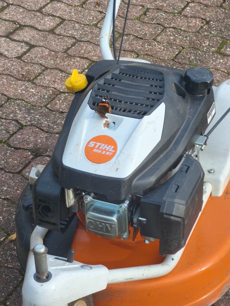 Ein Schmetterling auf dem Rasenmäher 