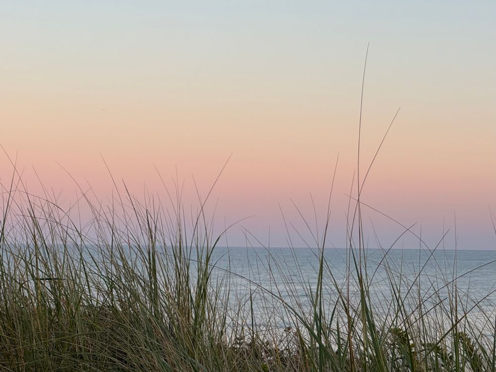 A sunset picture on the ocean with an orange and pink sky and green beach grass in the foreground.