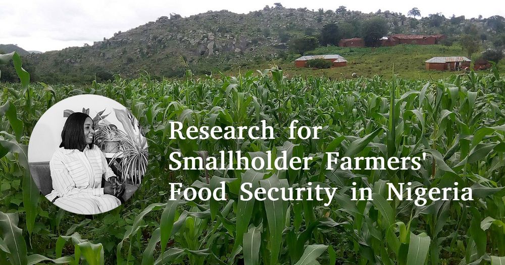 Header Image of Maize field with a picture of Esther Shupel Ibrahim and text: Research for Smallholder Farmers' Food Security in Nigeria