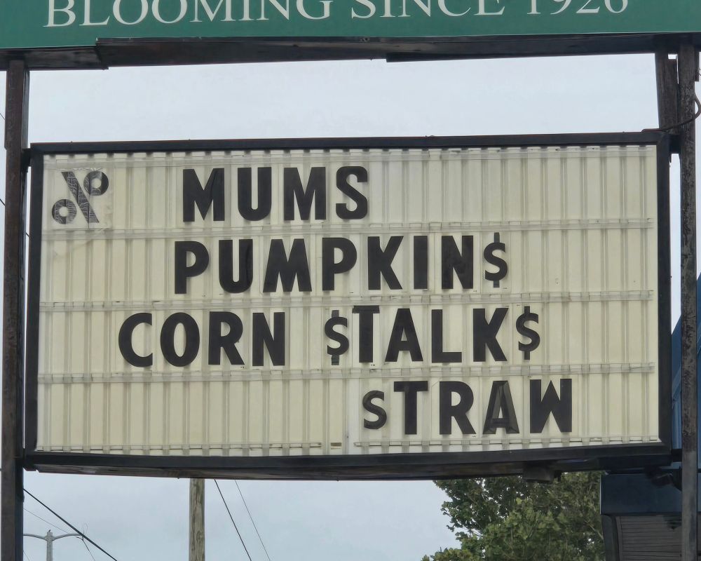garden center sign that says "mums pumpkin corn stalk straw"
