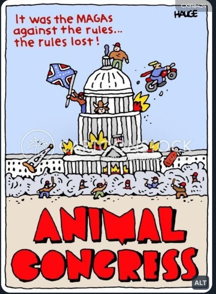 Cartoon movie poster... people in red hats attacking the US Capitol. Flam3s are everywhere. A confederate flag is flying. It was the MAGAs against the rules... the rules lost. Animal Congress 