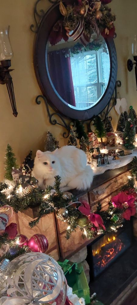 Christmas village with Cat
