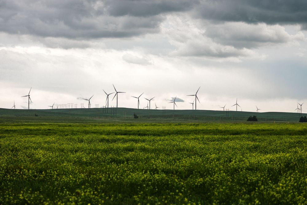 Large wind mills spread across the horizon, above a green field and under dark rain clouds