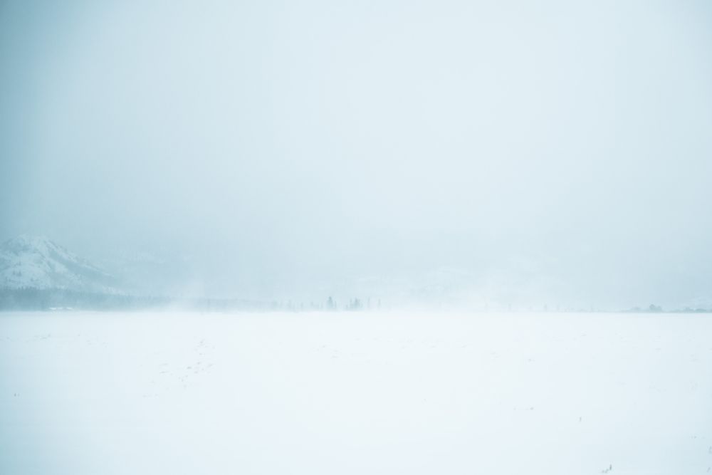 Blowing snow moves across a snow covered field, nearly blocking out everything in the background