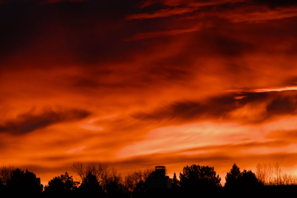 The early morning clouds are colored bright yellow and orange and red in front of a line of silhouetted trees