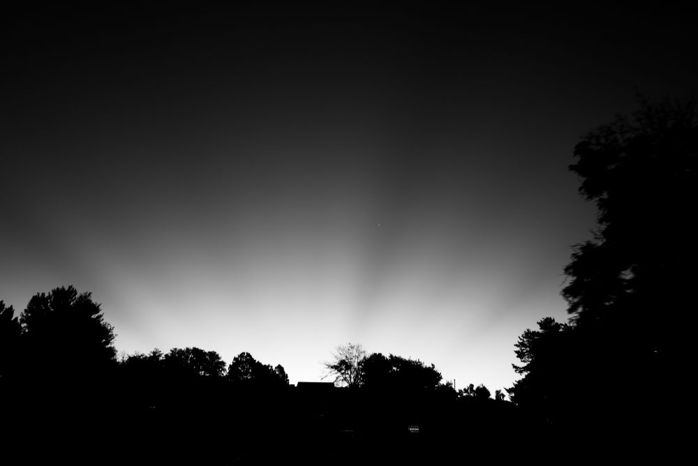 Silhouettes of tree tops in front of a bright area of light shining up from the horizon. The light is streaking in areas of dark, giving it a kind of blast effect.  