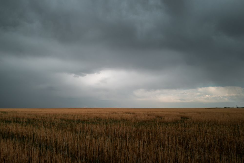 Storm clouds form over an amber field