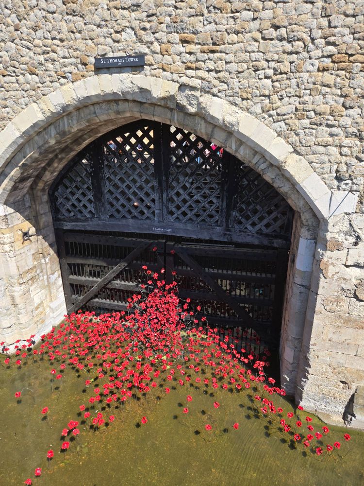 A photo of red ceramic poppies spilling out of Traitor's Gate.