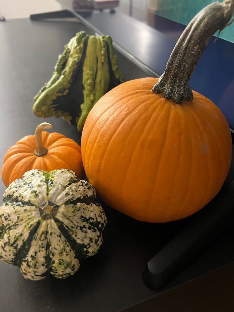 할로윈용 작은 호박들