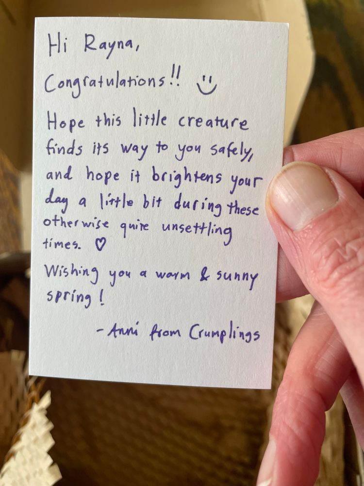 A card that reads Hi Rayna, Congratulations!! Hope this little creature finds its way to you safely and hope it brightens your day a bit during these otherwise quite unsettling times. Wishing you a warm and sunny spring. Anni from Crumplings. 