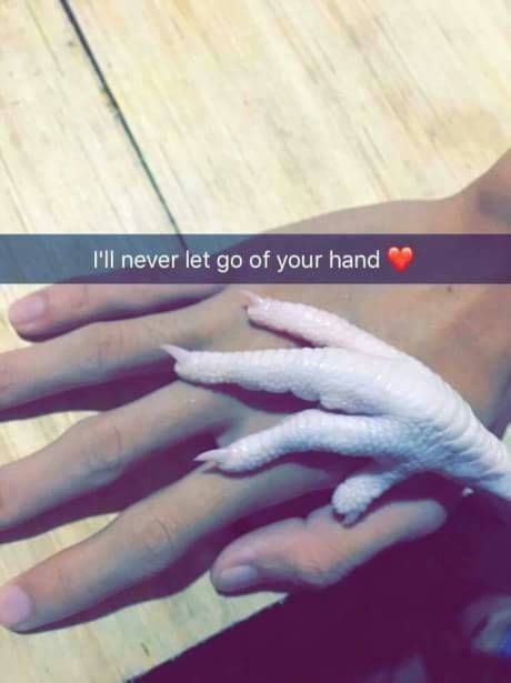 Tangan manusia yang dipegang oleh cakar ayam mentah, dengan teks di tengah gambar bertuliskan "I'll never let go of your hand" disertai emoji hati merah ❤️