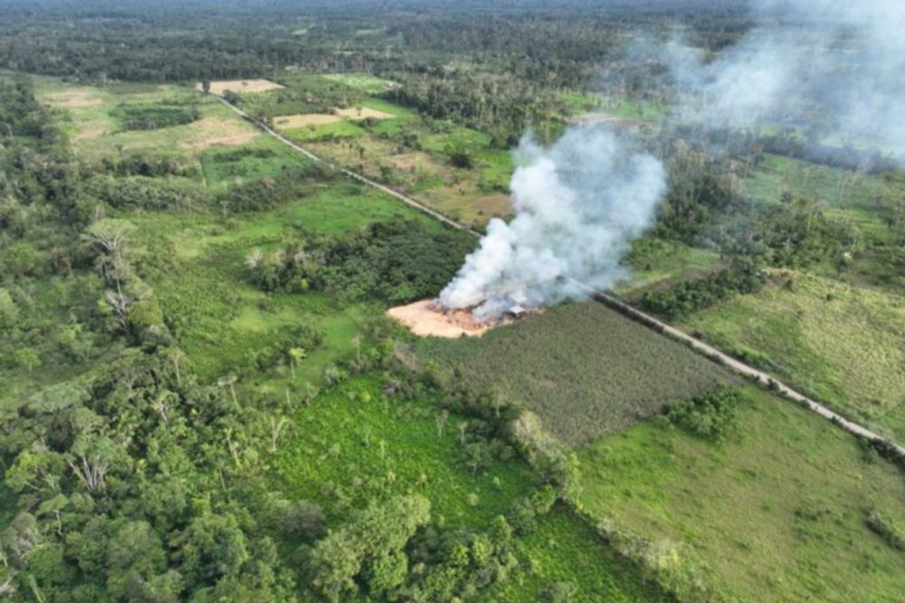 Una mirada a los asentamientos en la Amazonía ecuatoriana | LIBRO